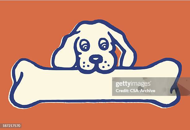 little dog, big bone - old dog stock illustrations
