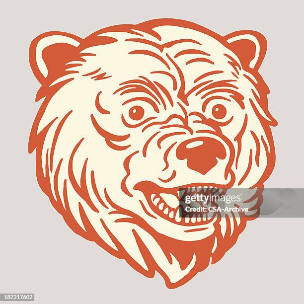 stockillustraties, clipart, cartoons en iconen met bear head - angry bear face