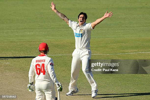 Mitchell Johnson of the Warriors celebrates the dismissal of Sam Raphael of the Redbacks during day two of the Sheffield Shield match between the...