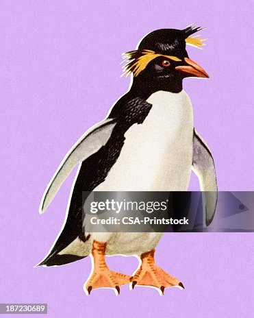 Penguin Penguin