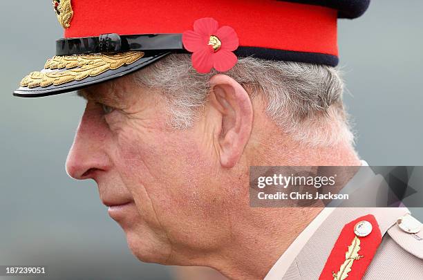 Prince Charles, Prince of Wales meets troops during a visit to the Indian Military Academy during day 2 of an official visit to India on November 7,...