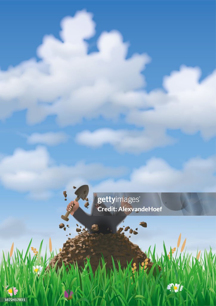 Mole breaking out of a molehill and grass