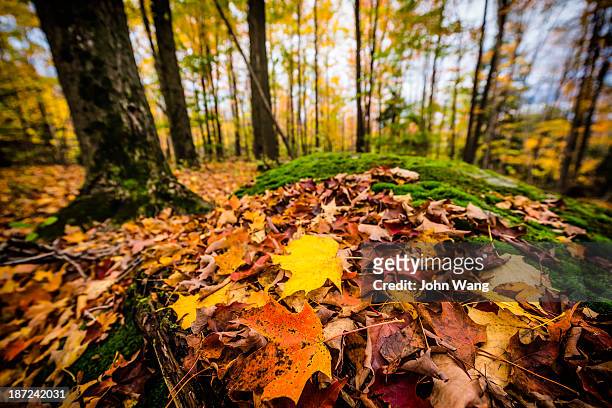 fall scenes at north hatley in quebec - north hatley stock pictures, royalty-free photos & images