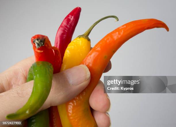 Finger Chilli 130 Finger Hot Peppers Stock Photos, High-Res Pictures, and Images ...