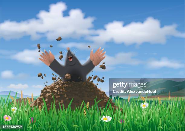 mole breaking out of a molehill and grass with hills and blue sky and summerclouds - molehill stock illustrations