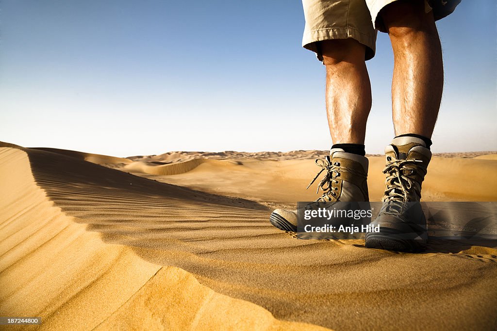 Desert explorer