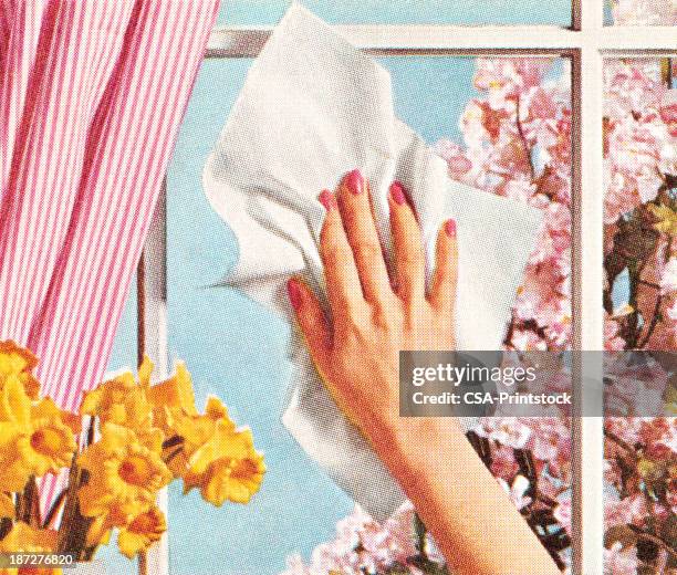 bildbanksillustrationer, clip art samt tecknat material och ikoner med woman's hand cleaning window - stereotypical housewife