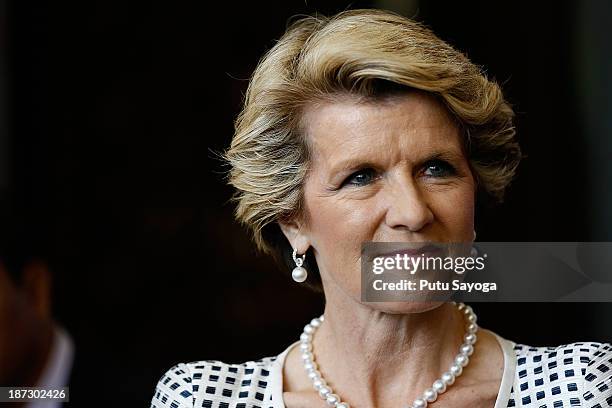 Australian Minister of Foreign Affairs Julie Bishop talks at a press conference during Bali Democracy Forum VI on November 8, 2013 in Denpasar, Bali,...