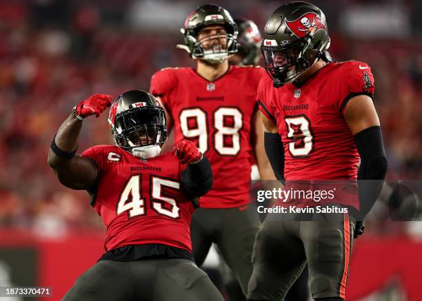 Devin White of the Tampa Bay Buccaneers celebrates after a sack during the fourth quarter of an NFL football game against the Jacksonville Jaguars at...