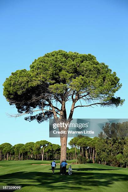 Lee Westwood of England prepares to play his second shot on the 13th hole from behind a tree during the completion of the first round of the Turkish...