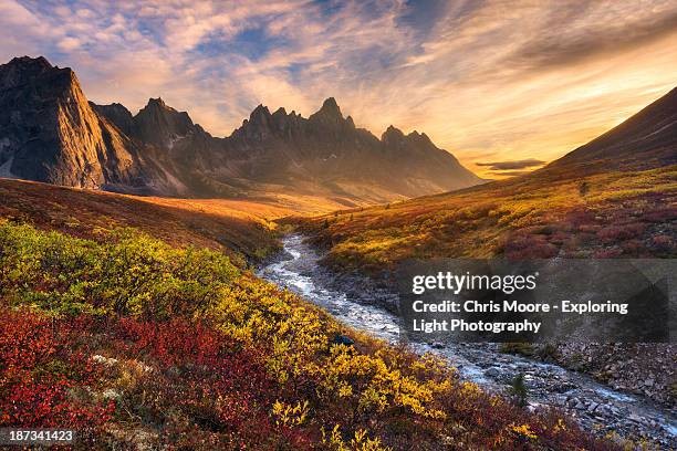 mountain paradise - toendra stockfoto's en -beelden