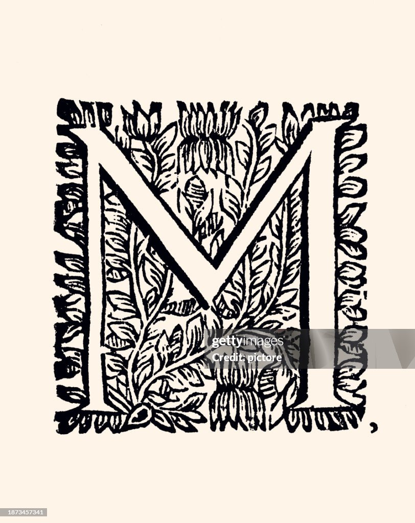Letter M : Ornamental pattern from the 17th century