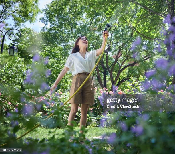 young beauty watering flowers in the courtyard - rosa hose photos et images de collection
