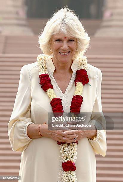 Camilla, Duchess of Cornwall poses outside the Akshardham Temple during day 3 of an official visit to India on November 8, 2013 in Delhi, India. This...
