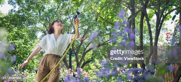 young beauty watering flowers in the courtyard - rosa hose stock pictures, royalty-free photos & images