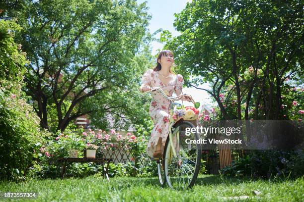 Livecycle Roses 1,428 The Life Cycle Of A Rose Stock Photos, High-Res Pictures, and ...