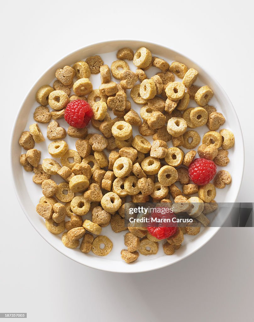 Bowl with Cereal, Milk, and Raspberries