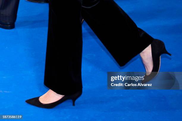 Queen Letizia of Spain, shoes detail, attends the closure Concert of the Spanish Presidency of the EU at the National Auditorium on December 21, 2023...