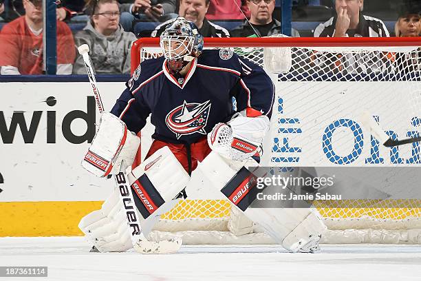 Goaltender Curtis McElhinney of the Columbus Blue Jackets defends the net against the Ottawa Senators on November 5, 2013 at Nationwide Arena in...