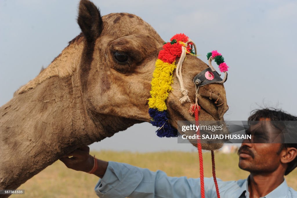 INDIA-SOCIETY-CAMEL-FAIR
