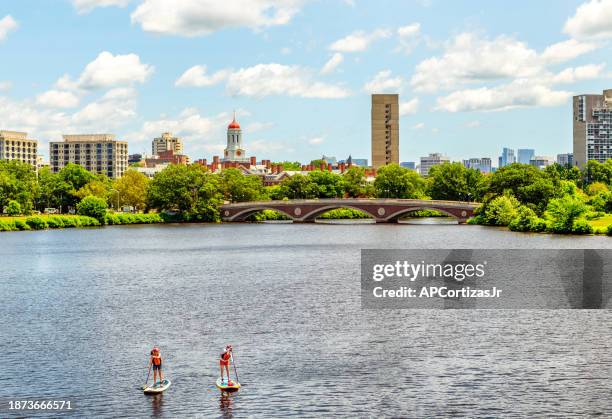 women paddle boarders - charles river - cambridge massachusetts - cambridge massachusetts stock pictures, royalty-free photos & images