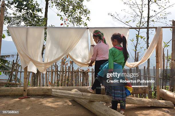 Hmong hilltribe women dress in indigo clothing, enormous silver earrings and colourful hats in daily life on November 8, 2013 in Sa Pa, Vietnam. They...
