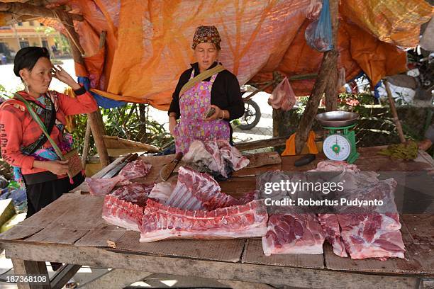 Hmong hilltribe women dress in indigo clothing, enormous silver earrings and colourful hats in daily life on November 8, 2013 in Sa Pa, Vietnam. They...