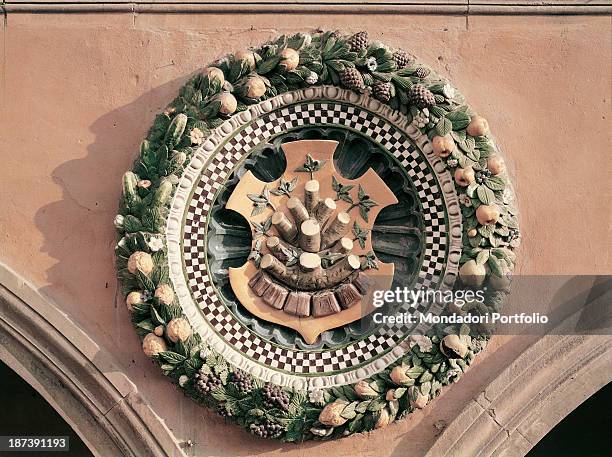 Italy, Tuscany, Pistoia, Ospedale del Ceppo, All, A circular coat of arms consisting in a tree stump with leaves surrounded by a crown made of fruits...