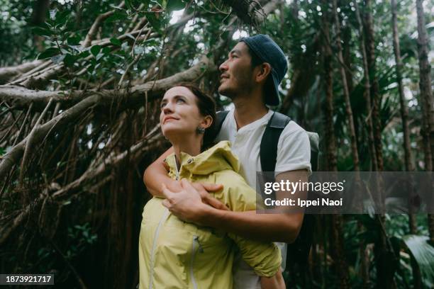 couple in rainforest with banyan trees - banyan tree stock pictures, royalty-free photos & images