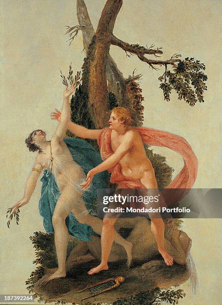 Italy, Veneto, Treviso, Museo Civico, All, Panel of the "Caffè da Pacho", Apollo and Daphne turnig into a laurel tree,