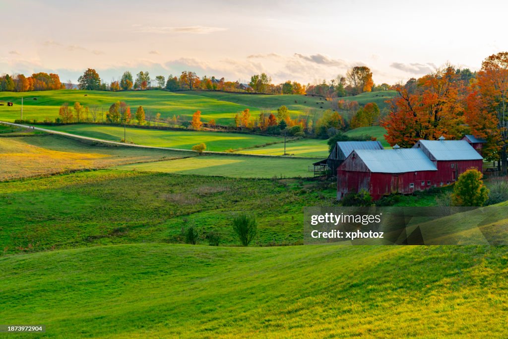 Homestead Fall Landscape Of Autumn Farmland With Woods In Sunset Light High-Res Stock ...