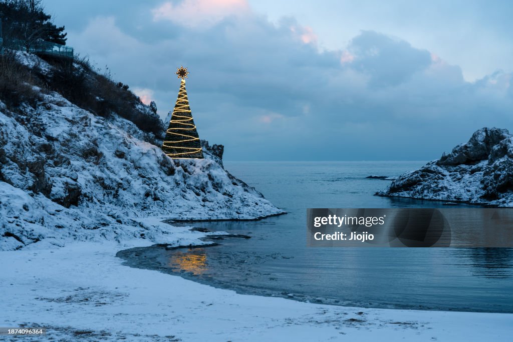 Illuminated christmas tree on the beach