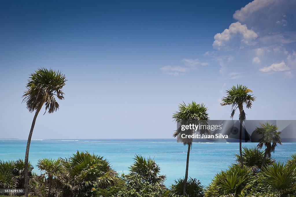 Beach of Tulum, Caribbean Sea, Mexico