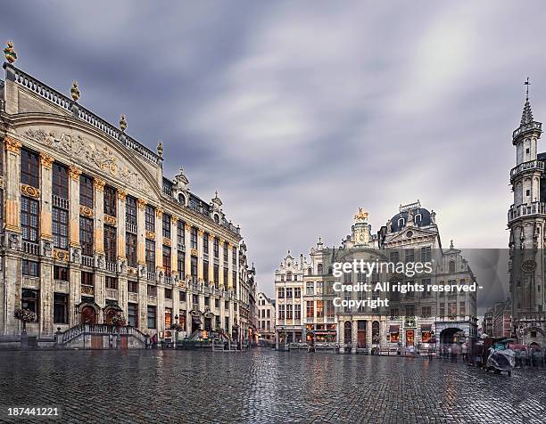 rainy day, grand place (brussels) - grote markt brussel stock pictures, royalty-free photos & images