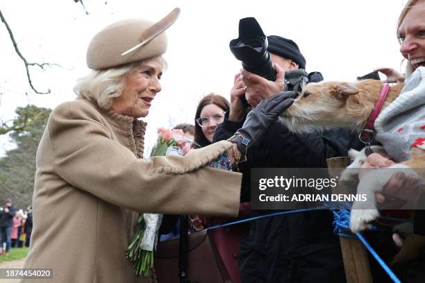 Britain's Queen Camilla pats a dog as she chats with well-wishers after attending the Royal Family's traditional Christmas Day service at St Mary...