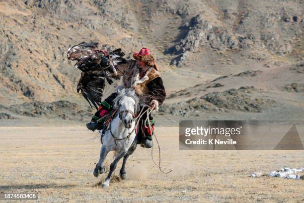 鷲狩りが腕に着地すると、鷲で�馬を疾走する - altai mountains ストックフォトと画像