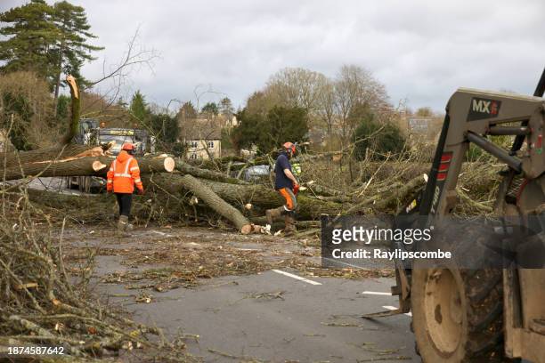 workmen and  tree surgeons clearing a fallen tree blocking a main road out of the cotswold town of cirencester, england after a stormy december evening. - gevelde boom stockfoto's en -beelden