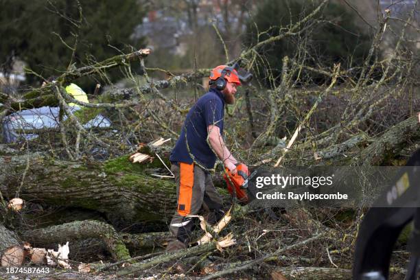 workmen and tree surgeons clearing a fallen tree blocking a main road out of the cotswold town of cirencester, england after a stormy december evening. - chainsaw stock pictures, royalty-free photos & images