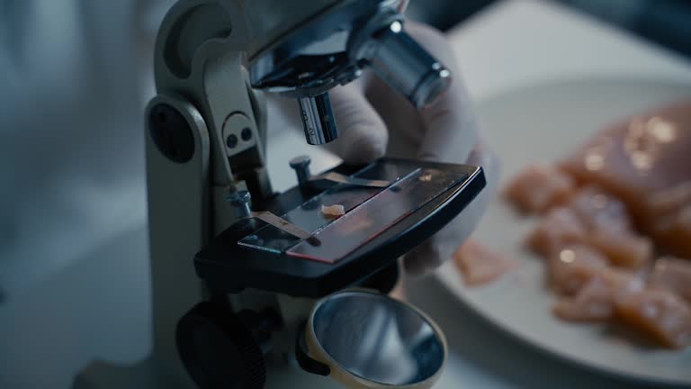 Meat Testing Microbiologist analyzing meat sample structure and qualities during ...