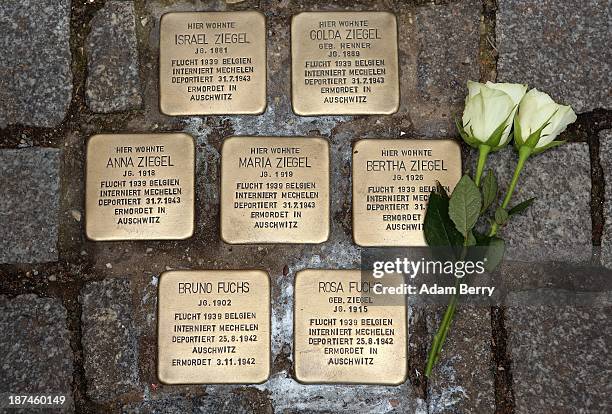Roses lie next to 'Stolperstein,' or Stumbling Blocks, small cobblestone-sized plaques by artist Gunter Demnig dedicated to the memory of victims of...