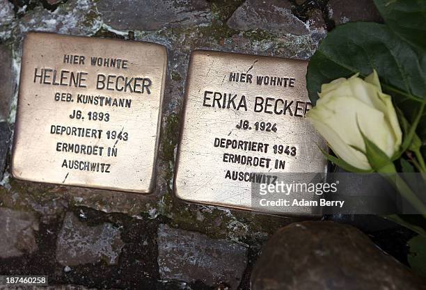 Rose lies next to 'Stolperstein' or Stumbling Blocks, small cobblestone-sized plaques by artist Gunter Demnig dedicated to the memory of victims of...