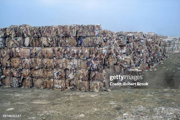Pulp Bundle 163 Pulp Collection Stock Photos, High-Res Pictures, and Images - Getty ...