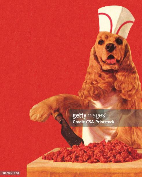 ilustrações, clipart, desenhos animados e ícones de cão vestindo chapéu de açougueiro - dog bone