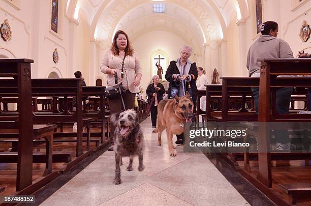 Fiéis levam seus animais de estimação para participar da missa no Dia de São Francisco de Assis, padroeiro e protetor dos animais. A celebração...