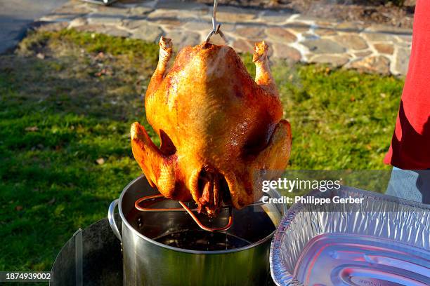 deep-fried turkey - frito em gordura abundante - fotografias e filmes do acervo