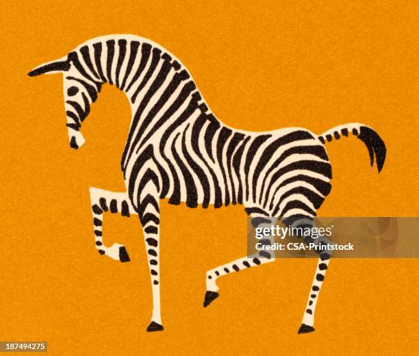 prancing zebra - zebra stock illustrations