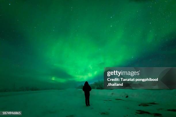 the magical dance of the northern lights at murmansk in russia - murmansk stock pictures, royalty-free photos & images