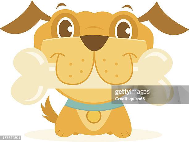 glücklich hund mit knochen - hundeknochen stock-grafiken, -clipart, -cartoons und -symbole
