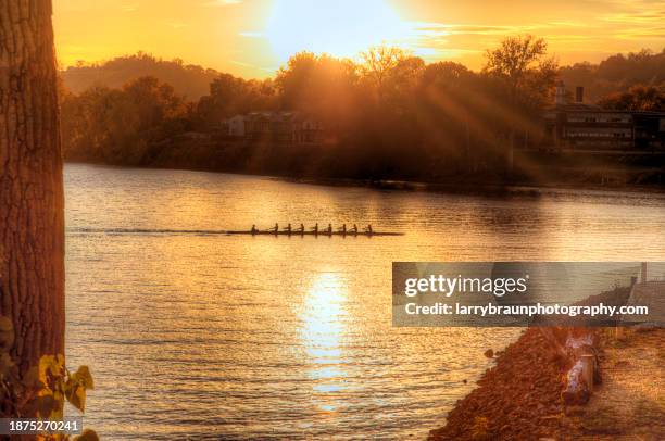 rowing at sunset on the ohio river - team ohio stock pictures, royalty-free photos & images