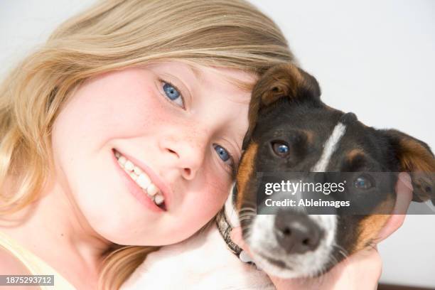 girl hugging jack russell puppy - terrier jack russell stock pictures, royalty-free photos & images
